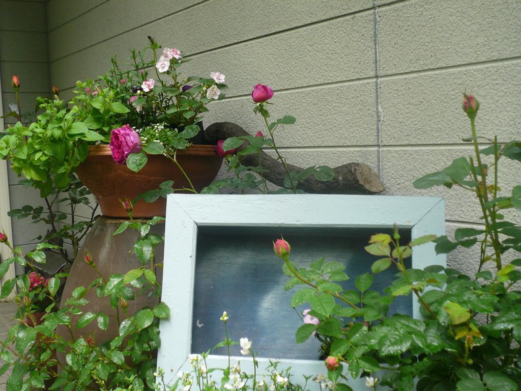 Auberge Shikinouta Tsuwano Exterior foto